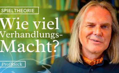 Die Verhandlungsmacht der Parteien (Shapley Wert)