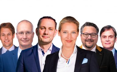 Bemerkenswerte Plädoyers gegen die Ausgrenzung der AfD