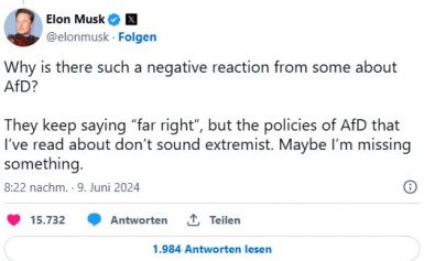 Elon Musk verteidigt die AfD