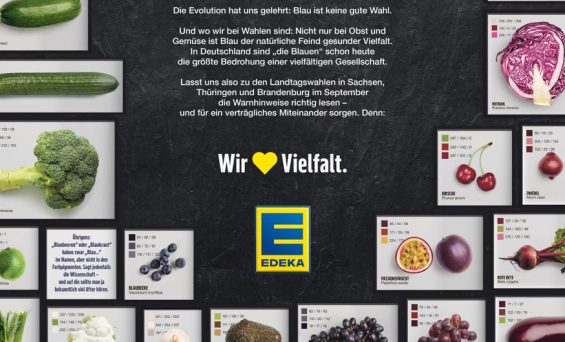 Die Einflussnahme der Lebensmittel-Supermarktkette EDEKA auf die politische Landschaft und die Folgen für die Demokratie