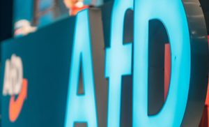 Neue Internetseite: CDU, Die Linke & Co. gemeinsam für das AfD-Verbot