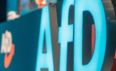 Neue Internetseite: CDU, Die Linke & Co. gemeinsam für das AfD-Verbot