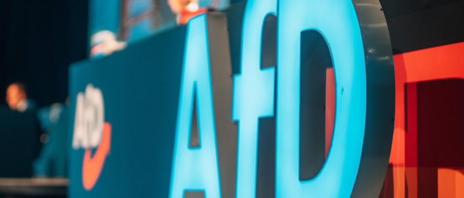 Neue Internetseite: CDU, Die Linke & Co. gemeinsam für das AfD-Verbot