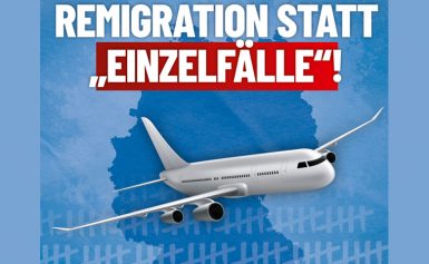 Begriffsverwirrung: Ist die „Remigration“ längst Realität?