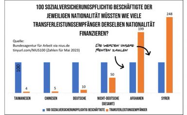 Wozu braucht Deutschland Flüchtlinge aus Syrien?